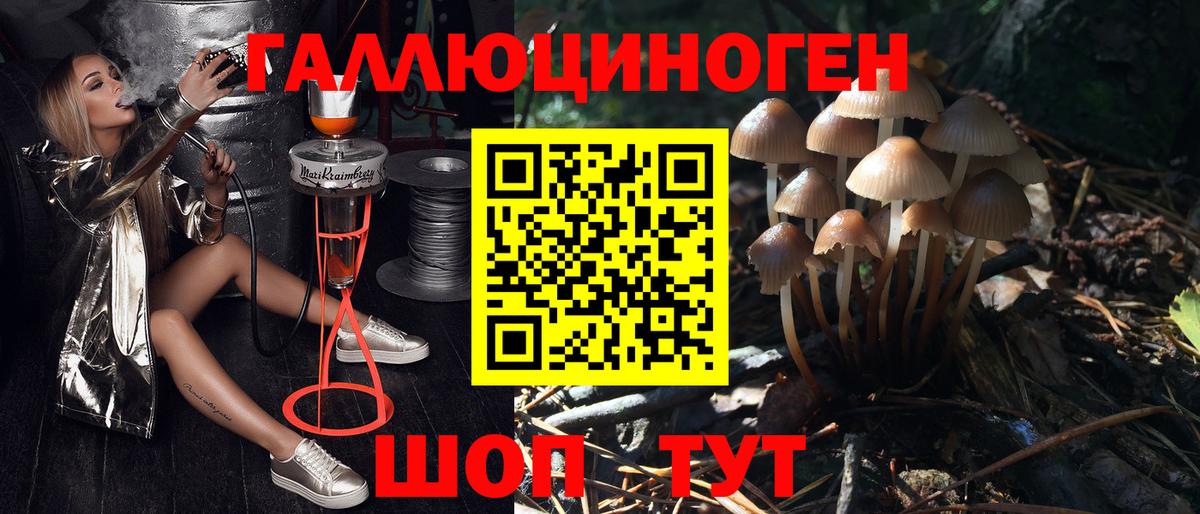 Вичуга  Псилоцибиновые грибы Magic Shrooms  Вход с VPN 